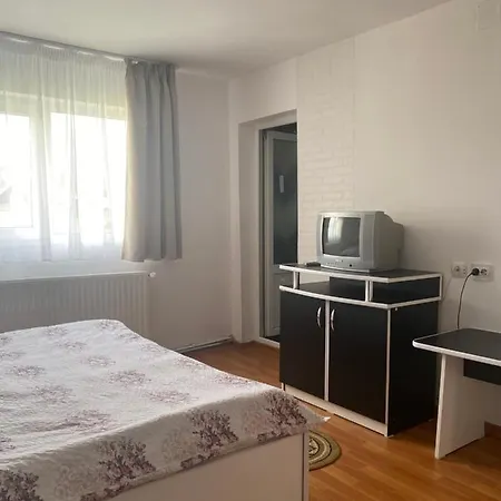 Casa Oana Ioana Casa rural *